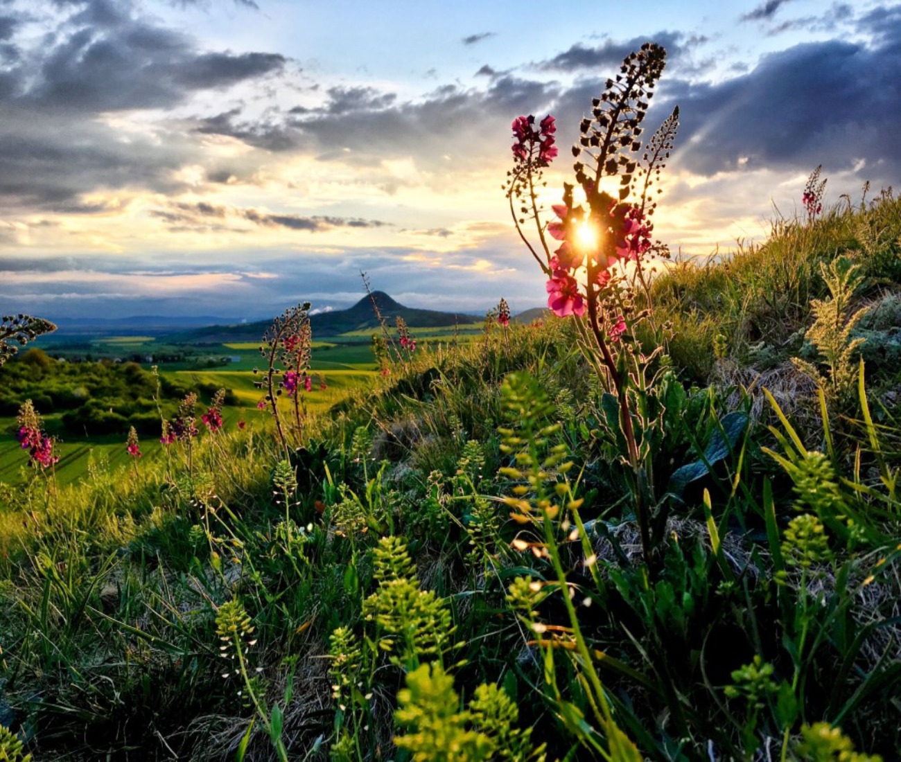 Dárkový poukaz na soukromý výlet plný dobrodružství s Offroadsafari.cz – ukázka 9 – Darujpoukaz.cz